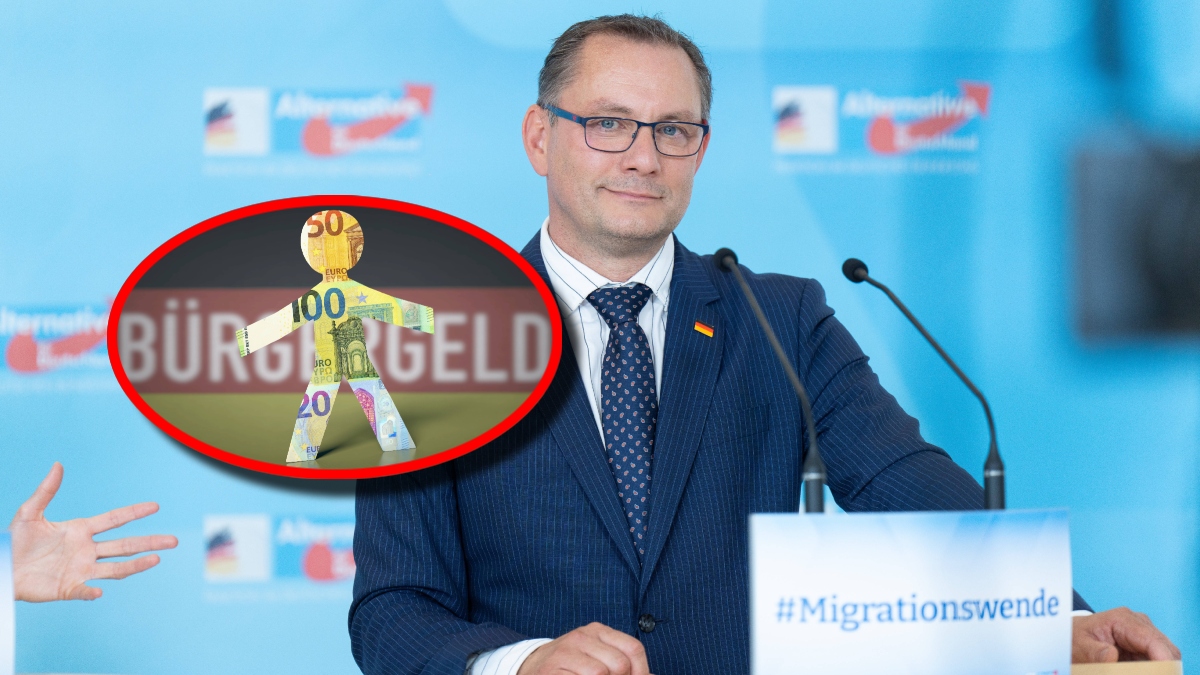 Bürgergeld AfD Ukraine