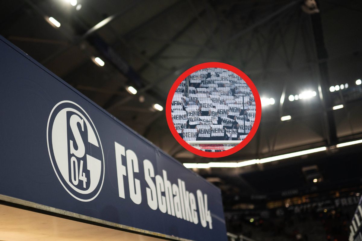 FC Schalke 04 DFL Investor