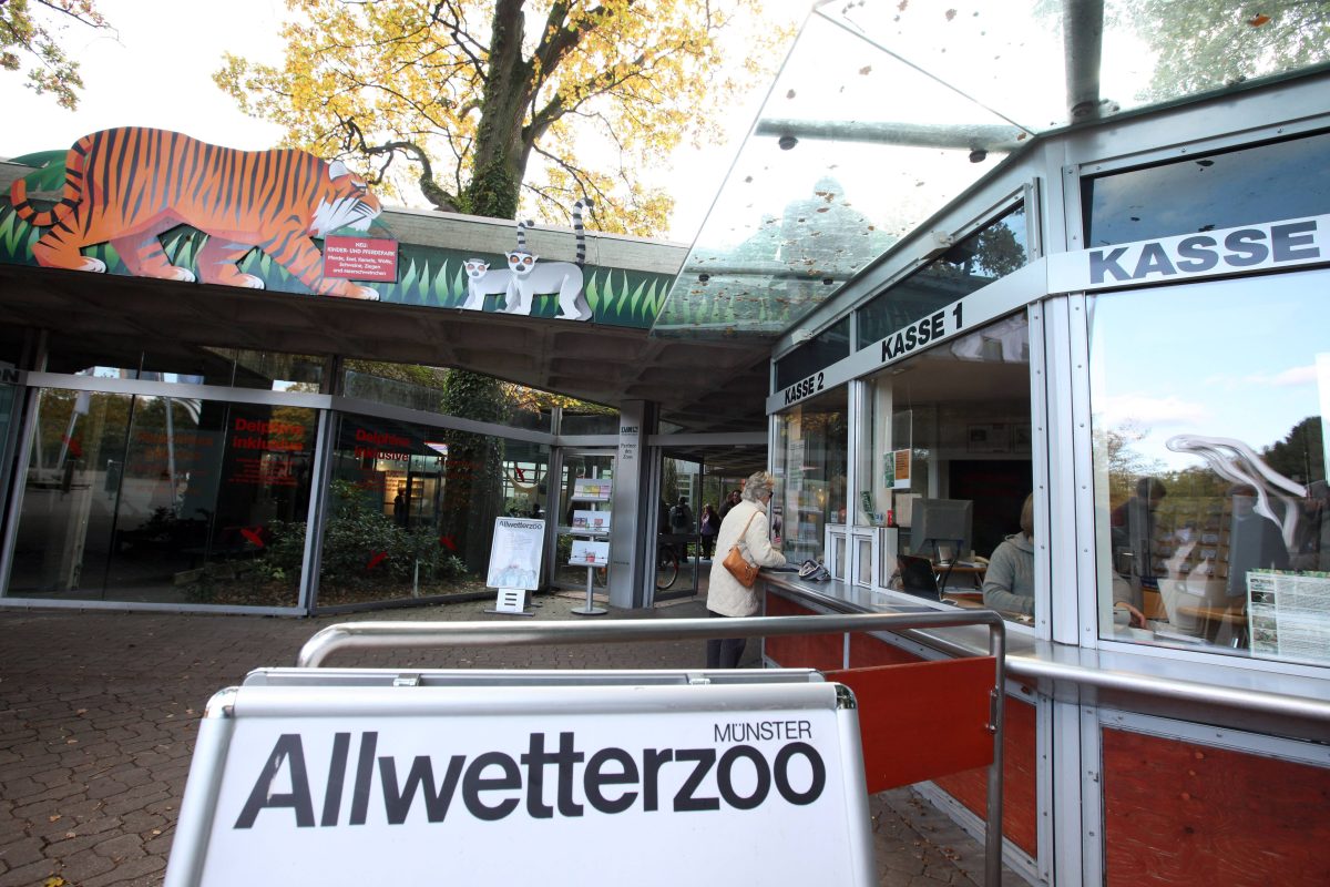 Der Allwetterzoo Münster in NRW musste 2023 Abschied nehmen. (Archivfoto)