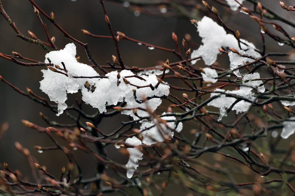 Wetter NRW