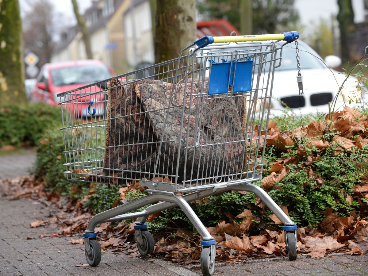 Symbolbild: Lidl-Einkaufswagen in NRW-Stadt.