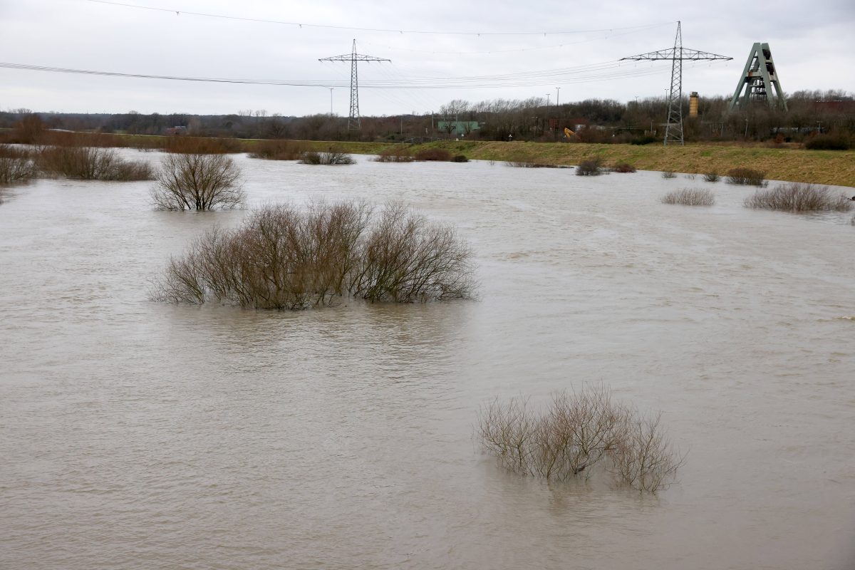 Im Ruhrgebiet kam es zu dramatischen Szenen wegen des Hochwassers. Hochlandrinder wurden von Wasser eingekesselt.