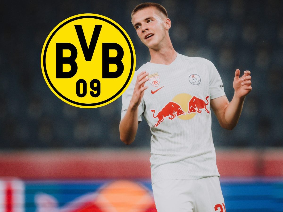 Oliver Lukic Borussia Dortmund