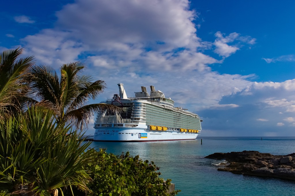 Ein Kreuzfahrtschiff hinter Palmenblättern.