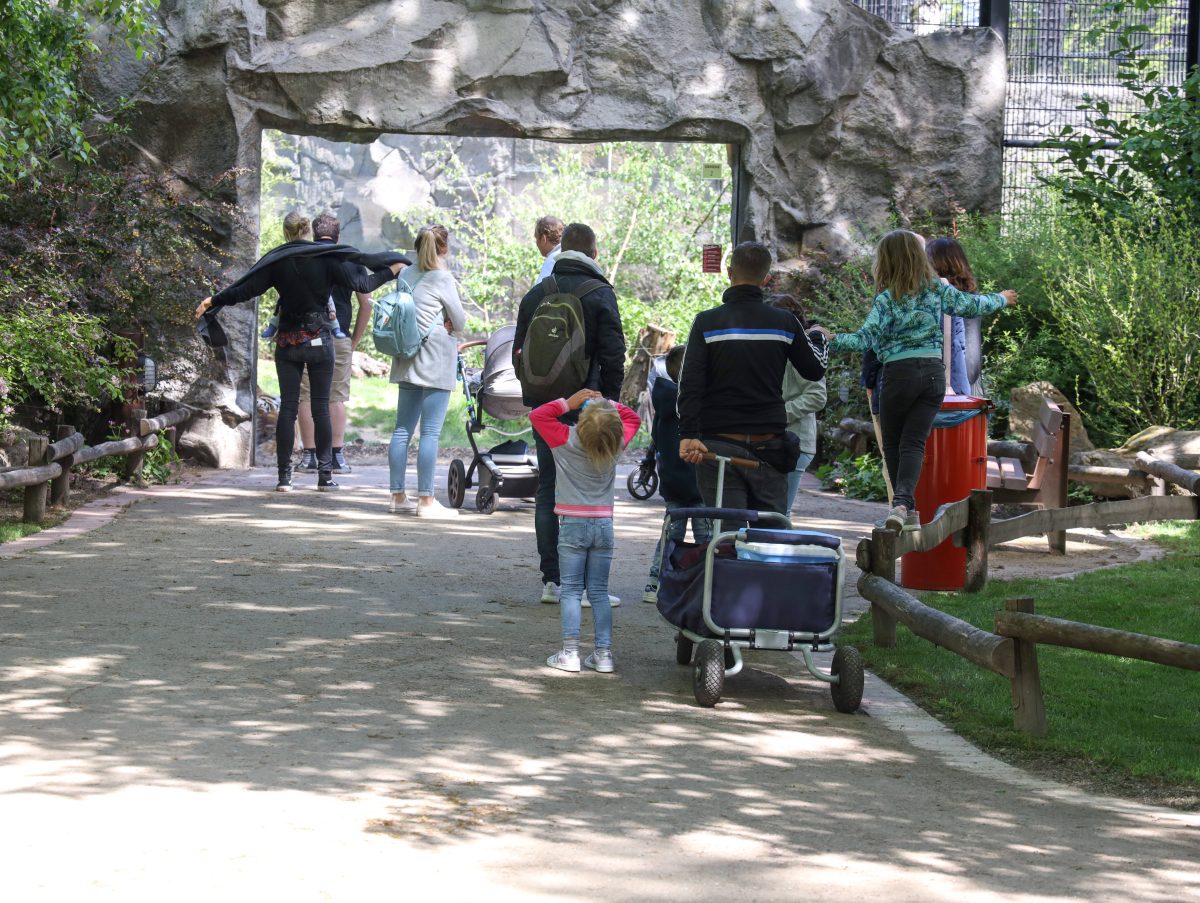 Dieser Zoo in NRW verkündet eine lange ersehnter Nachricht.