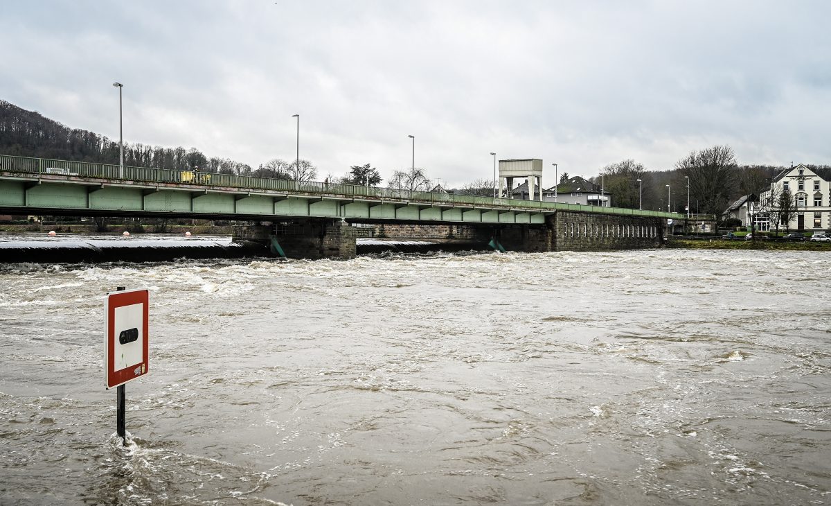 NRW: 1.000 Fische am Ufer der Ruhr tot aufgefunden