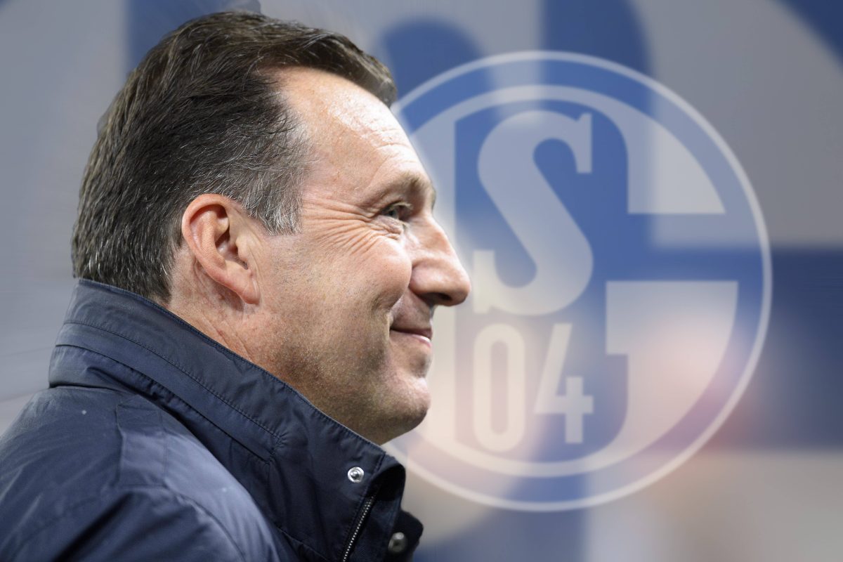 S04 - Marc Wilmots