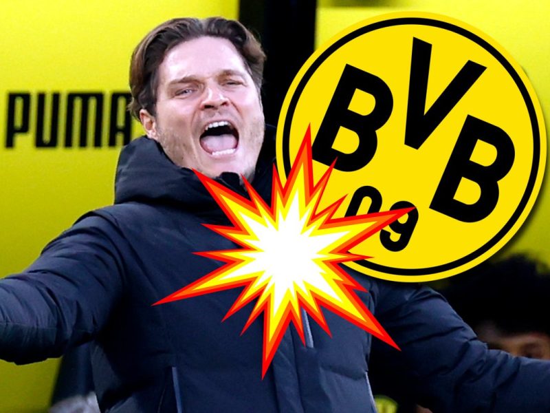 Borussia Dortmund: Heftige Terzic-Diskussion entbrennt unter den Fans – Entscheidung gefallen?