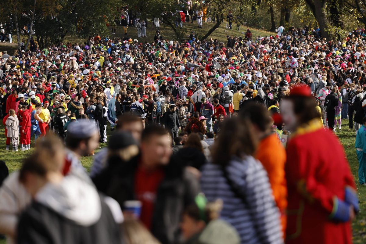 In Köln und Düsseldorf müssen sich Karneval-Fans an diese Regeln halten