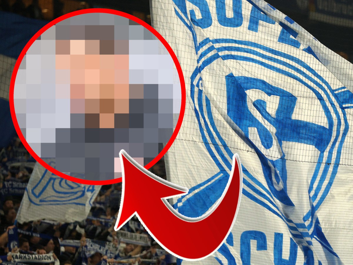 Da gucken auch die Fans des FC Schalke 04 verdutzt.