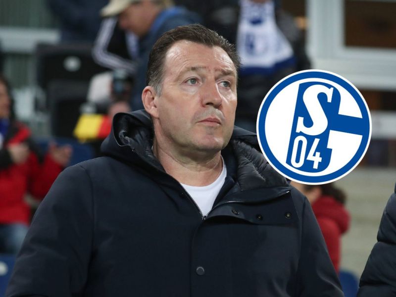 FC Schalke 04 – Transfer-News und Gerüchte: Offiziell! S04 lässt die Katze aus dem Sack