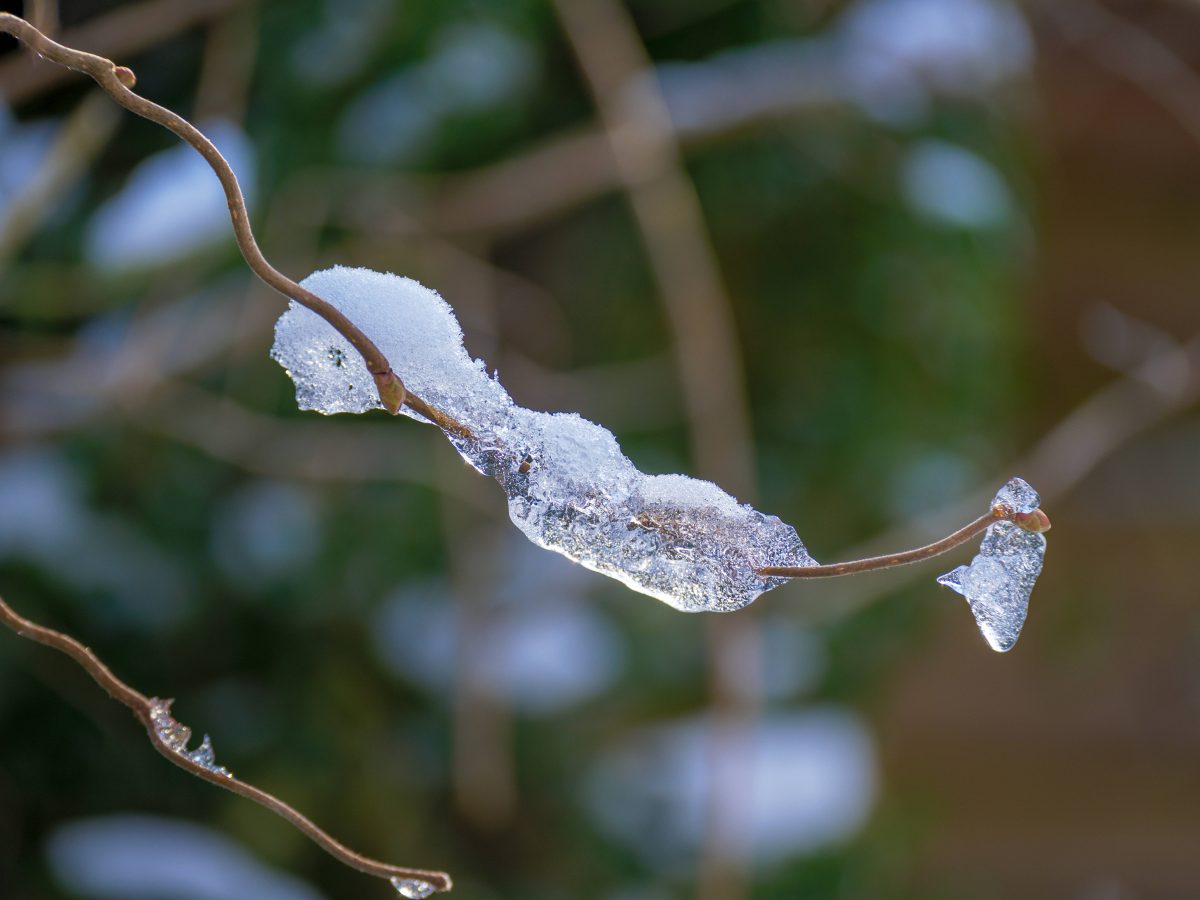 Kommt es jetzt in NRW zur Wetter-Wende?