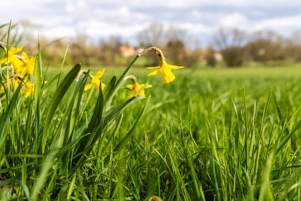 Wetter in NRW: Experte mit heftiger Sommerprognose