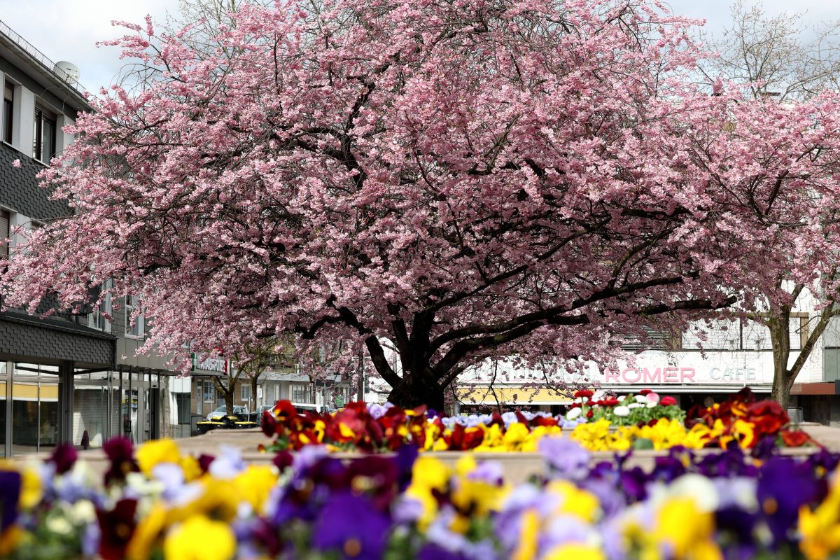 Wetter in NRW: Frühlingsbeginn. Experte fällt vernichtendes Urteil.