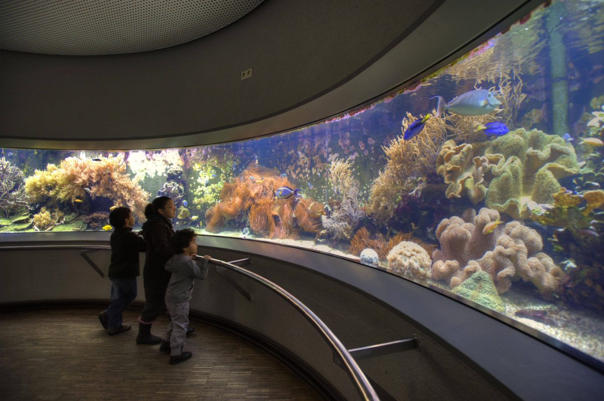 Aquazoo Löbbecke Museum Düsseldorf