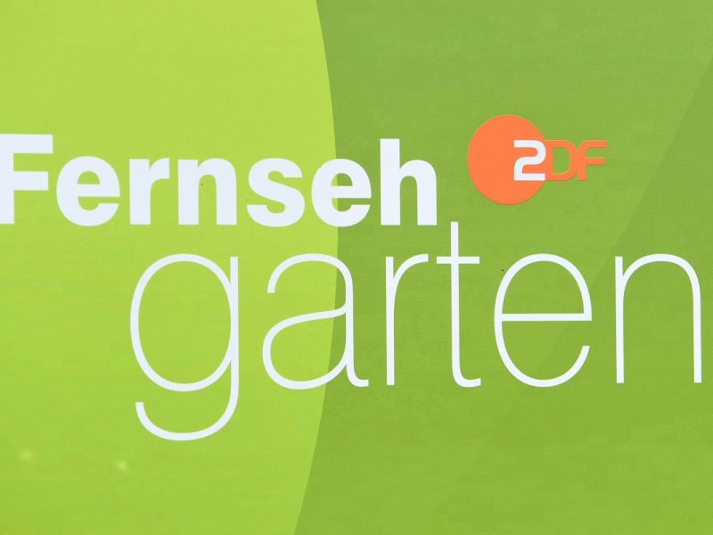 ZDF-â€žFernsehgartenâ€œ GÃ¤ste: DIESE Stars sind in der Sendung am 29. September 2024 dabei