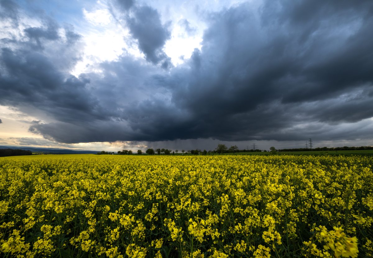 Wetter in NRW: Experte warnt vor Unwetter.