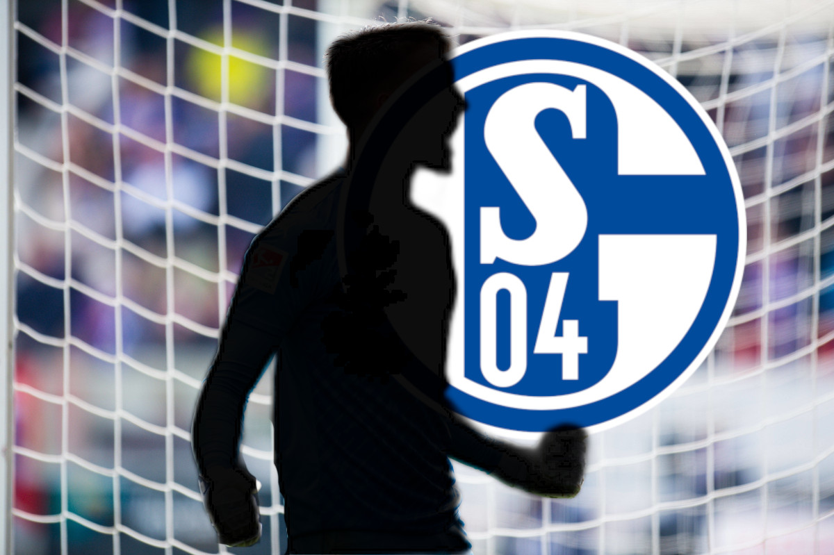 Schalke Hoffmann Wechsel