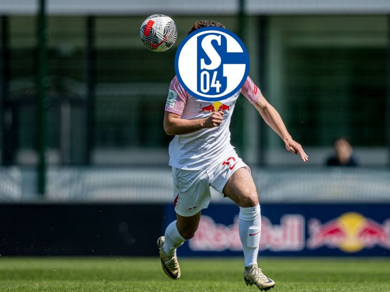 FC Schalke 04: Transfer-Coup steht bevor! S04 schnappt sich wohl Bundesliga-Juwel