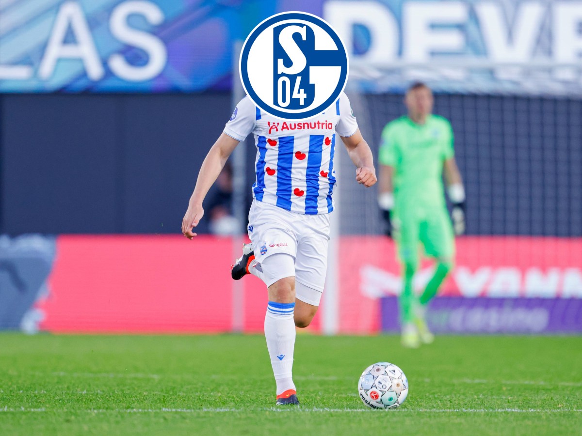 Der FC Schalke 04 war schon mehrmals auf dem Transfermarkt aktiv. Jetzt könnte ein weiterer Abwehrspieler für Königsblau interessant werden.