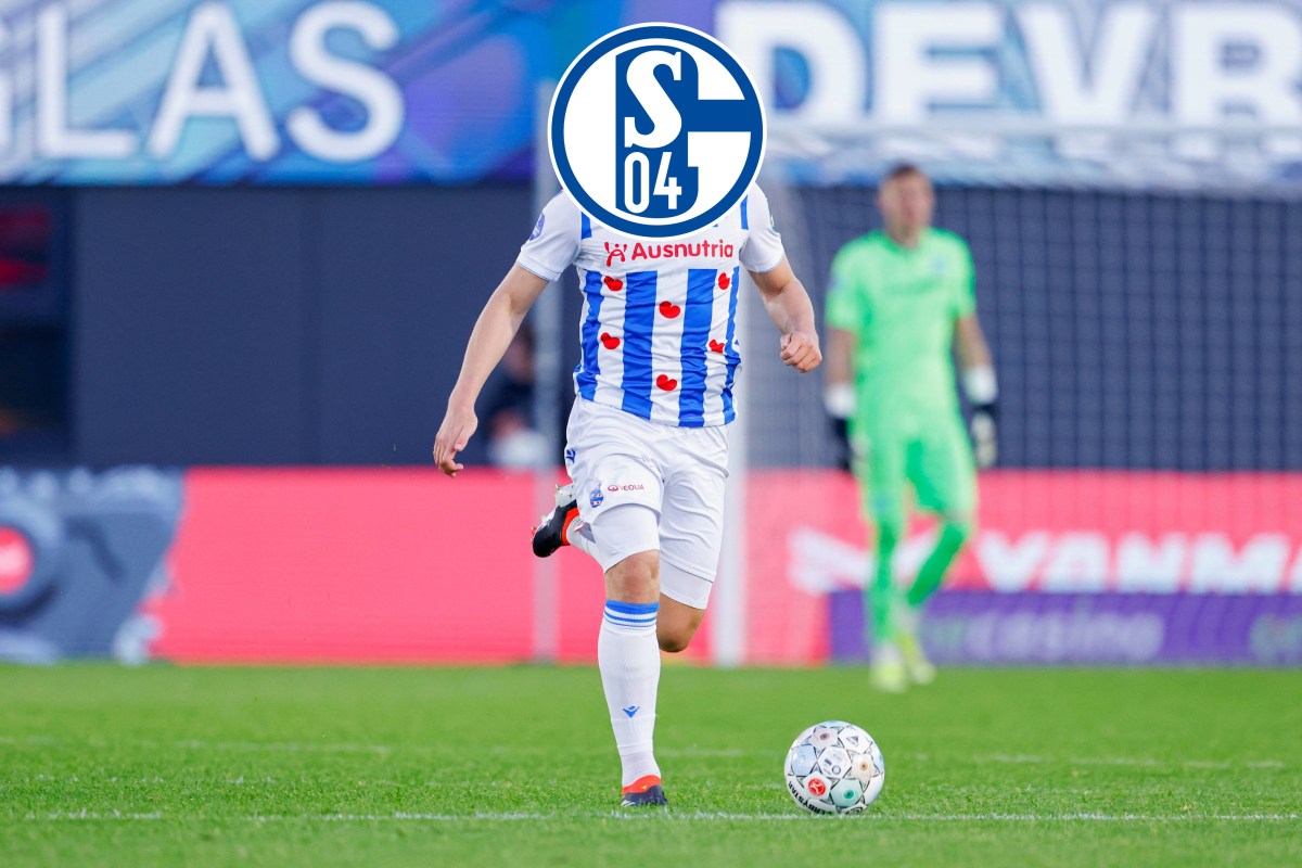 Der FC Schalke 04 war schon mehrmals auf dem Transfermarkt aktiv. Jetzt könnte ein weiterer Abwehrspieler für Königsblau interessant werden.