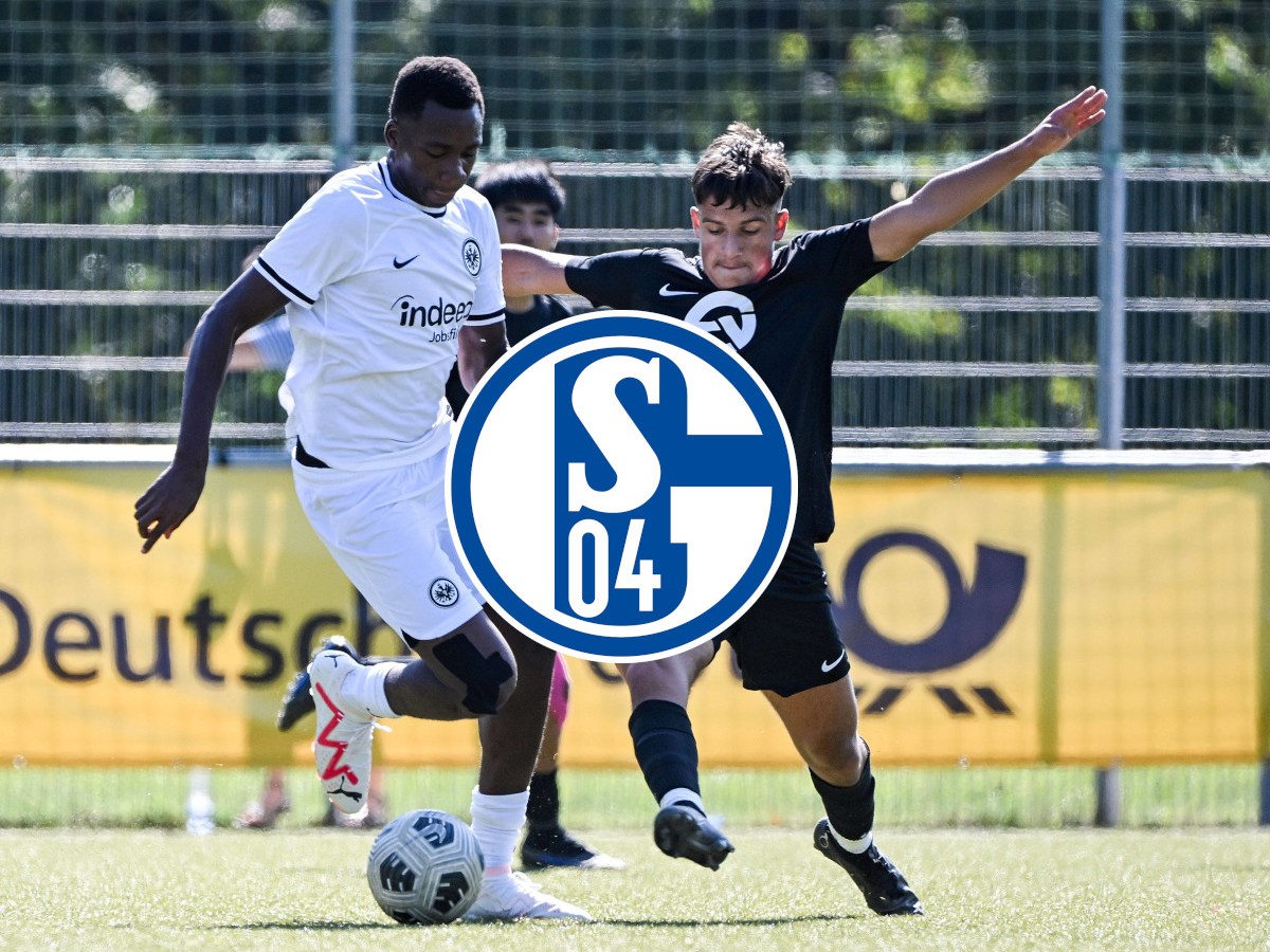 FC Schalke 04: Talent verkündet es selbst – ER wird ein Knappe