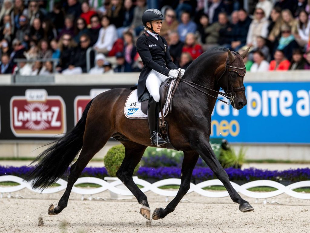 Werden bei Olympia 2024 nicht mit von der Partie sein: Ingrid Klimke und ihr Pferd Franziskus. 