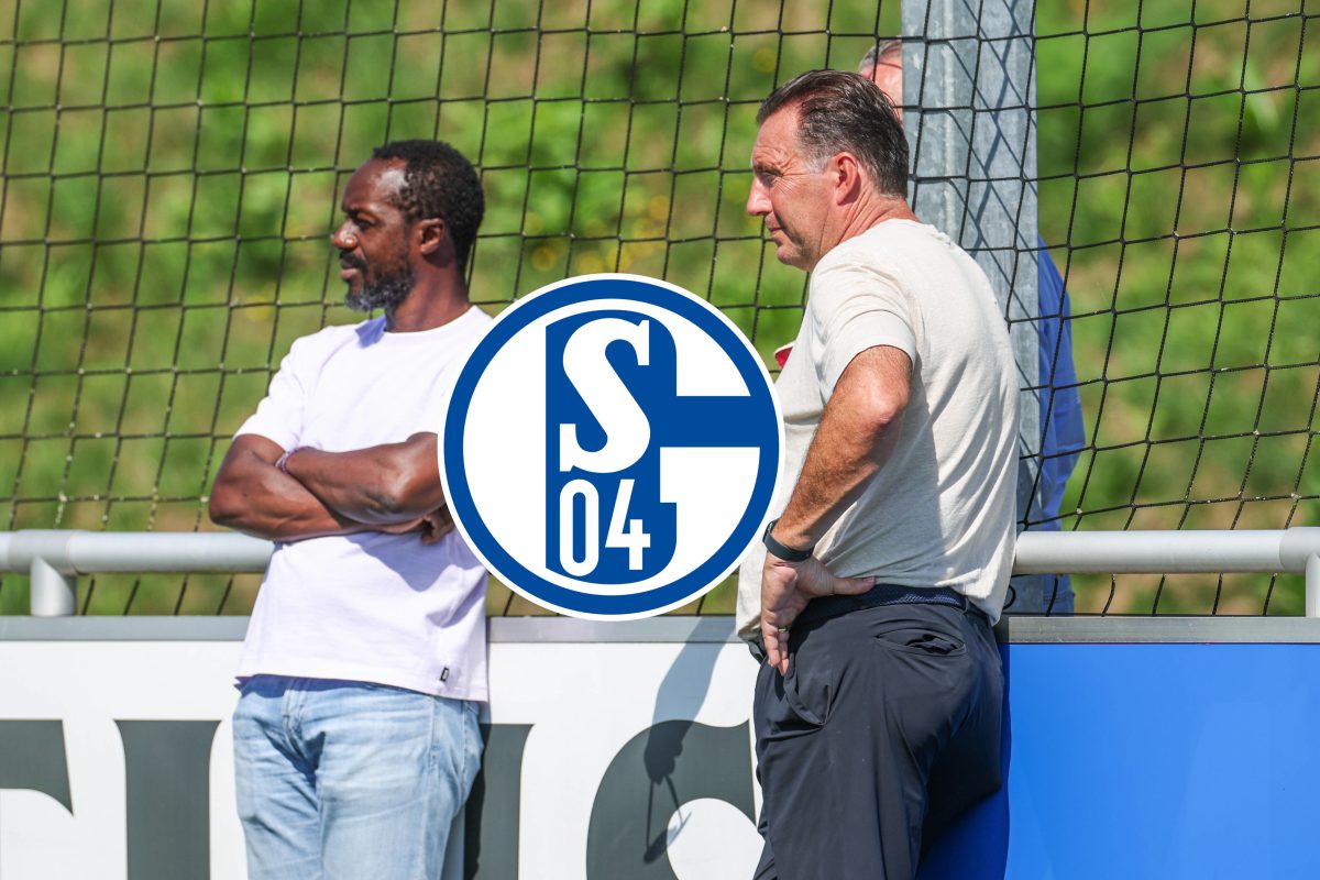 Der FC Schalke 04 hat weitere Statements auf dem Transfermarkt gesetzt! KÃ¶nigsblau konnte neue Transfer-Coups landen.