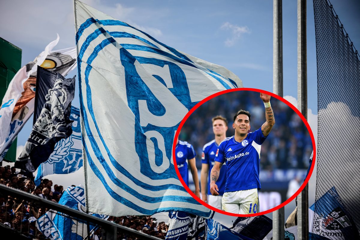 Bei Schalke 04 geht es Schlag auf Schlag, der nÃ¤chste Neue ist da! Dieser Transfer ist fÃ¼r viele Fans wohl ganz besonders.