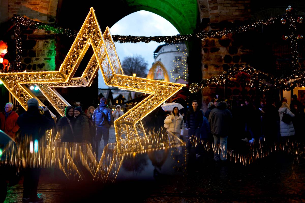 Weihnachtsstern auf Markt