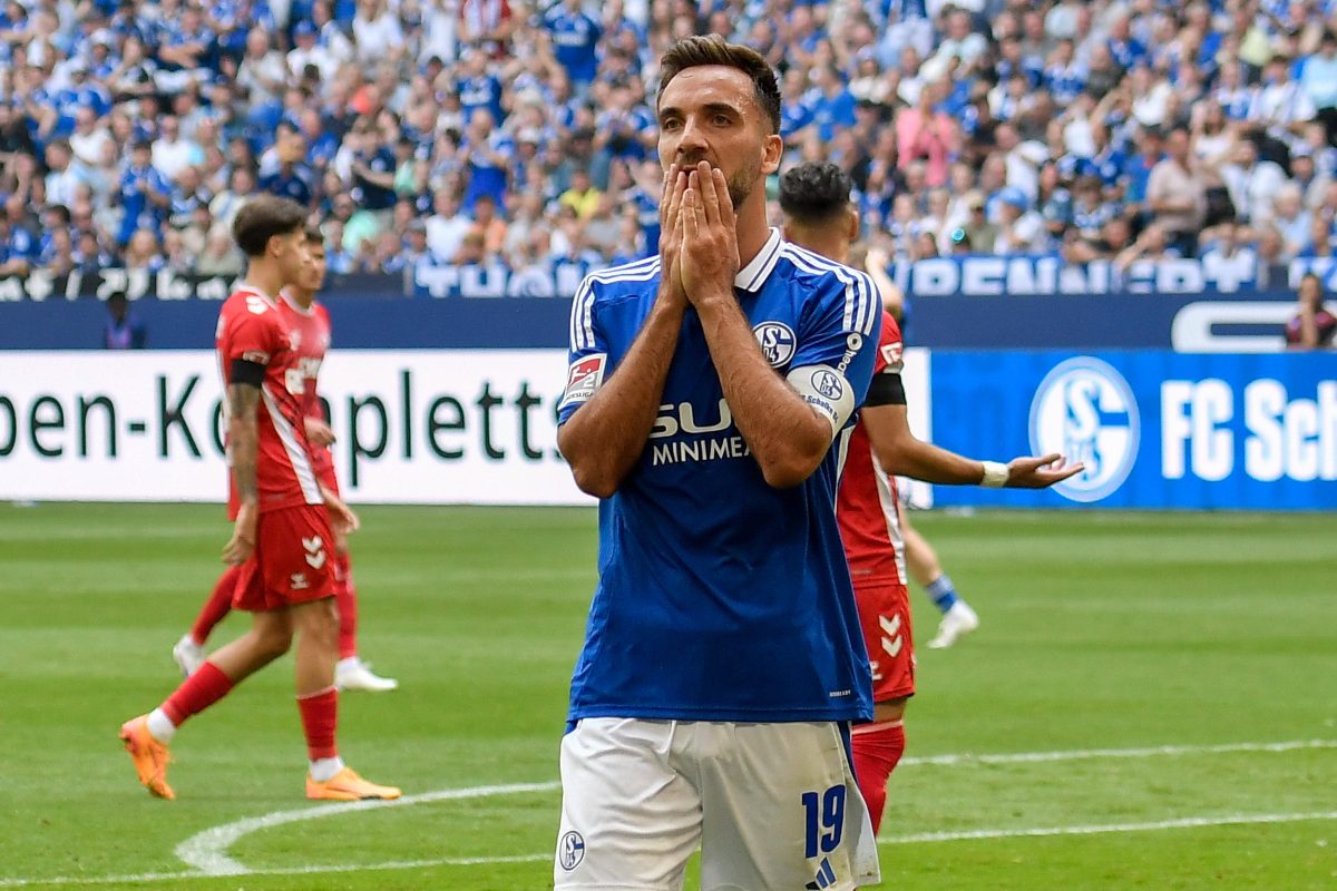 Der FC Schalke 04 verliert hochverdient gegen den 1. FC KÃ¶ln und offenbart groÃŸe SchwÃ¤chen. Die Fans wollen nun vor allem eine Sache sehen.