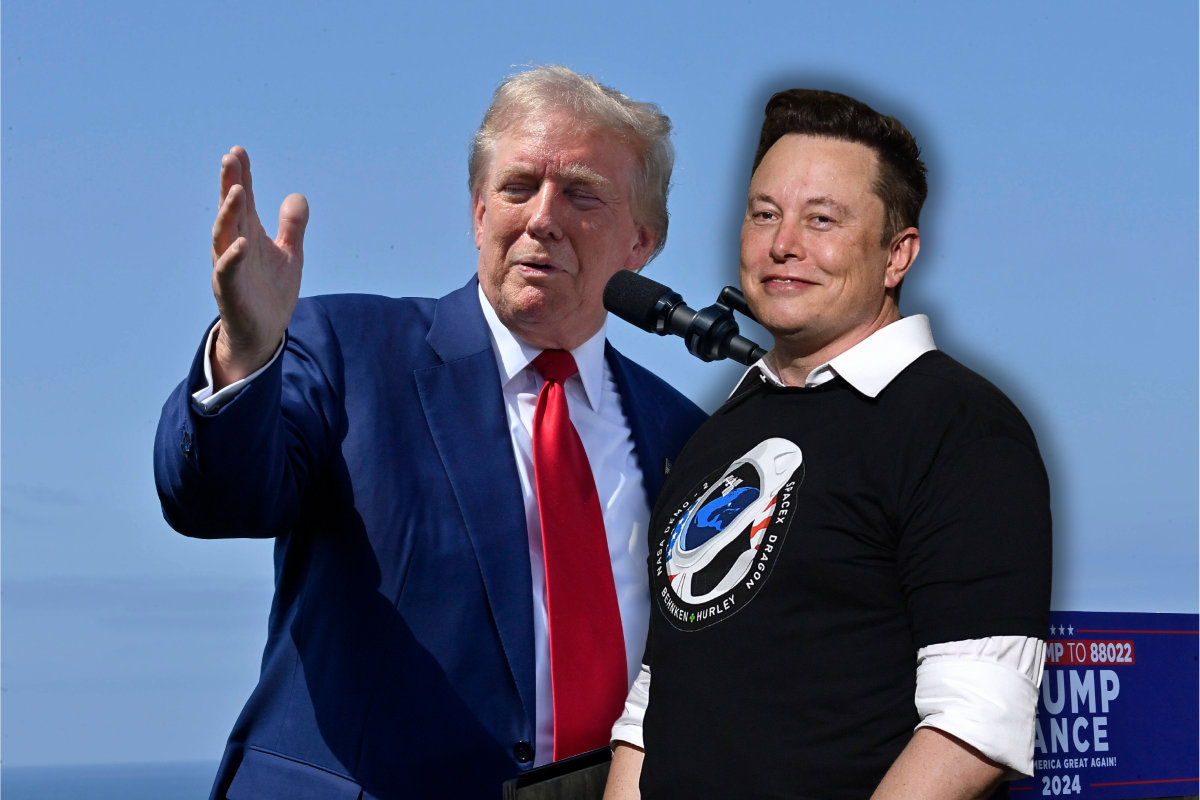 Trump-Fan Elon Musk fällt mit ekligem Tweet auf X auf.