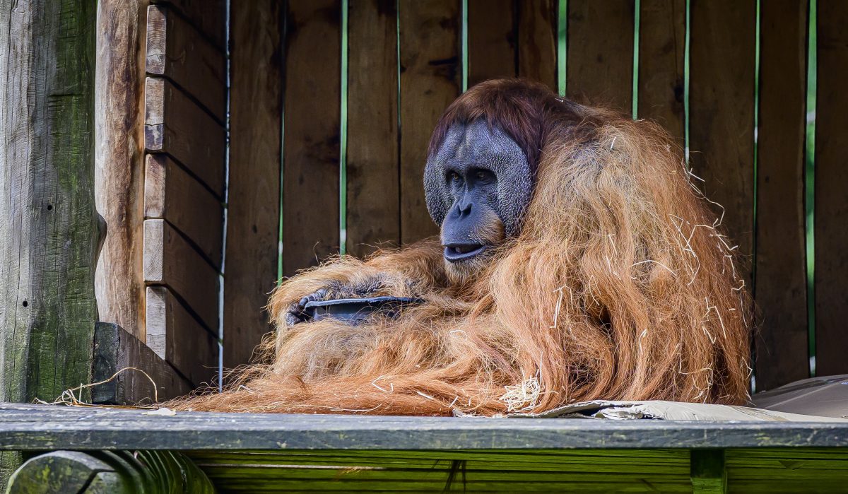 Zoo Dortmund