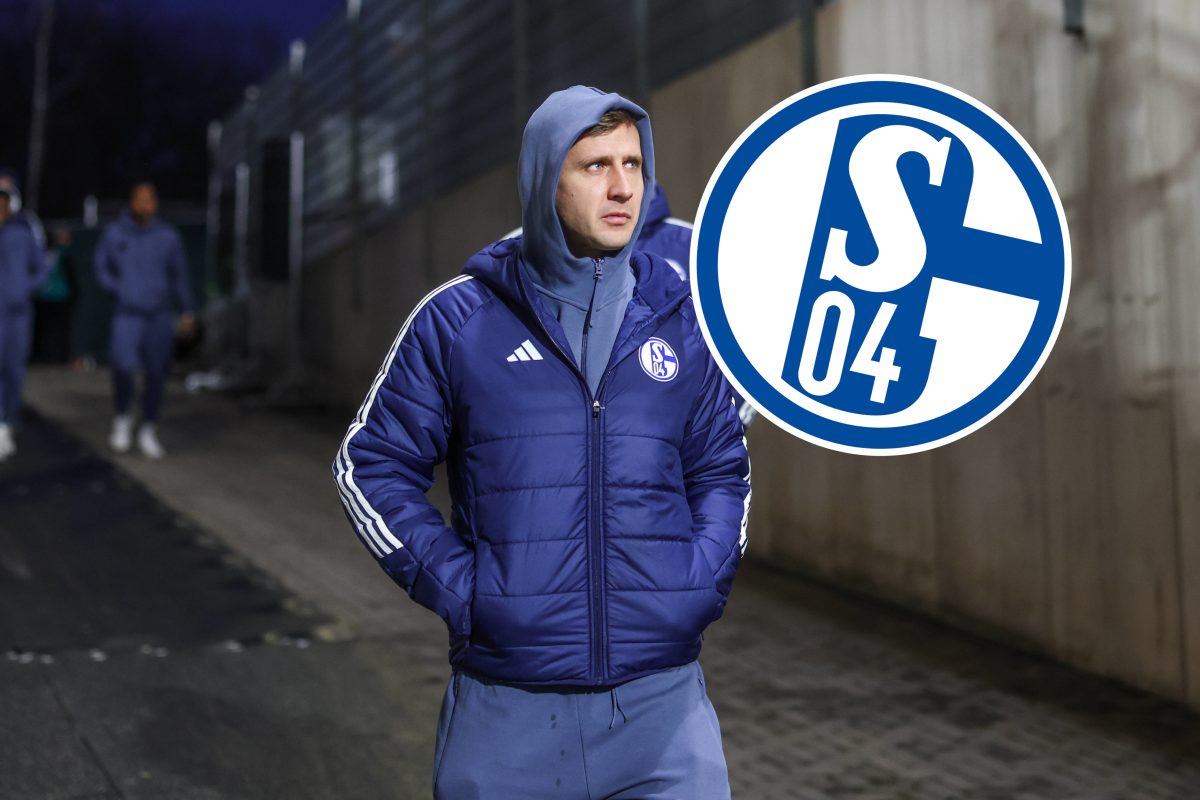 elversberg schalke 04