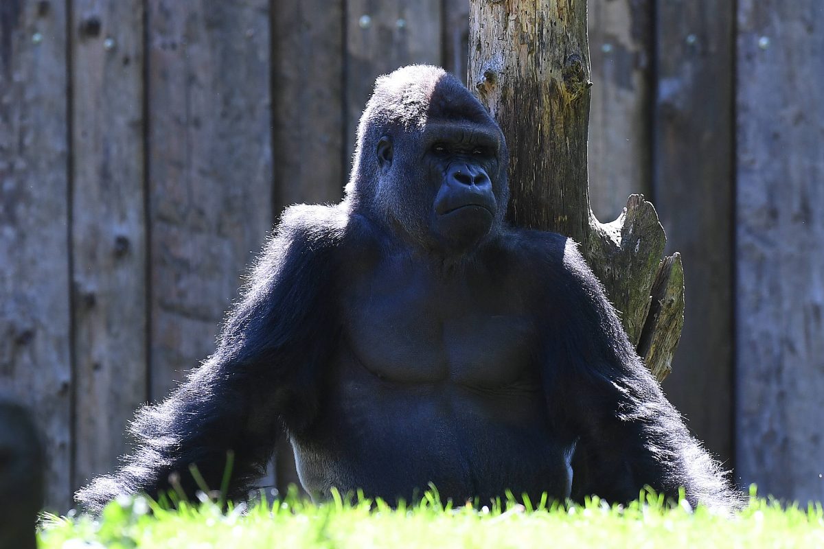 Zoo Duisburg