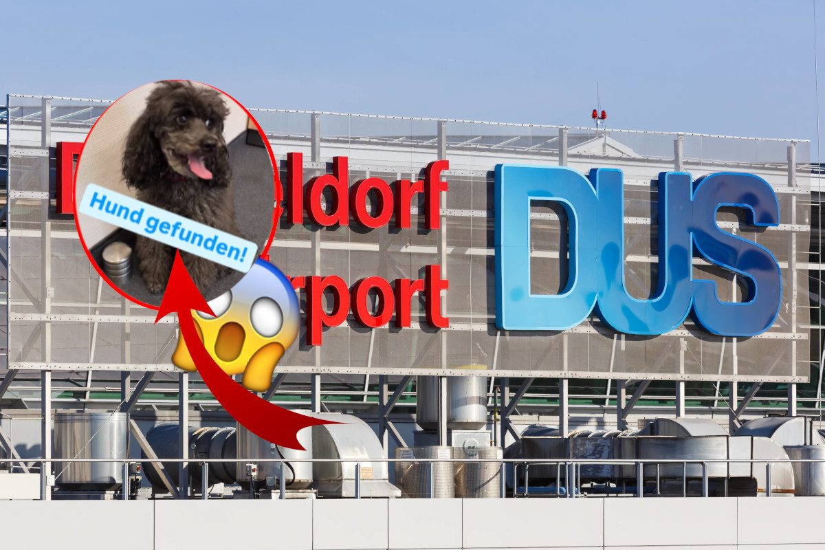 Flughafen Düsseldorf - Hund in NRW