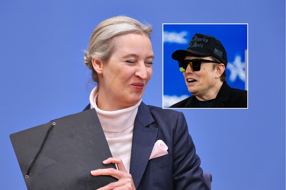 Elon Musk hofft auf einen AfD-Wahlsieg bei der Bundestagswahl 2029.