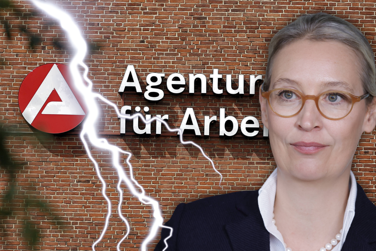 Die AfD hat drastische Pläne für das Bürgergeld – wer arbeitslos wird, soll viel schneller finanzielle Einbußen spüren!