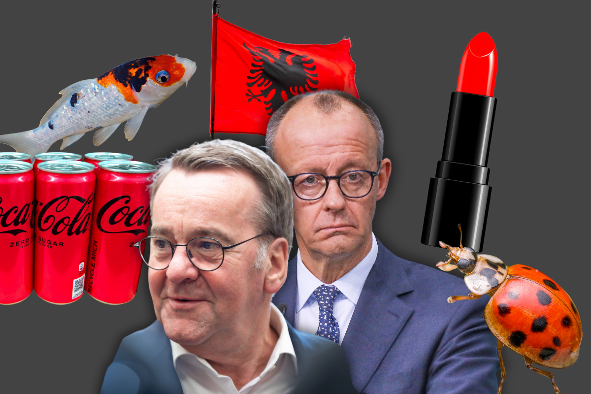 Wird die neue Regierung nach einem Fisch oder einer Cola benannt? Das Netz spottet über das CDU-SPD-Bündnis!