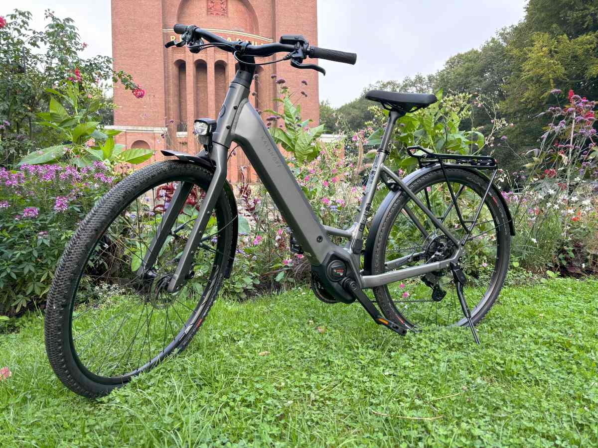Fahrrad auf Wiese