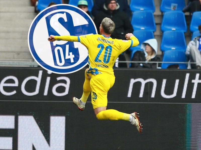 FC Schalke 04: Leih-Spieler geht durch die Decke – S04-Bosse lecken sich die Finger
