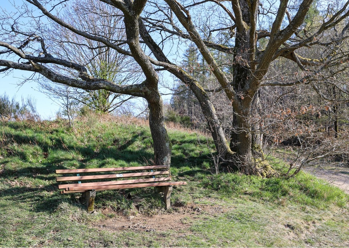 Hagen
