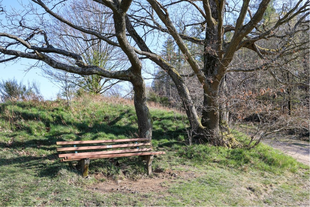 Hagen