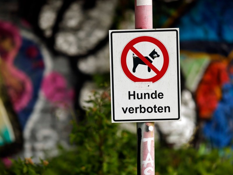 Unfreundlichste Stadt Deutschlands für Hunde – Ruhrgebiet ganz oben