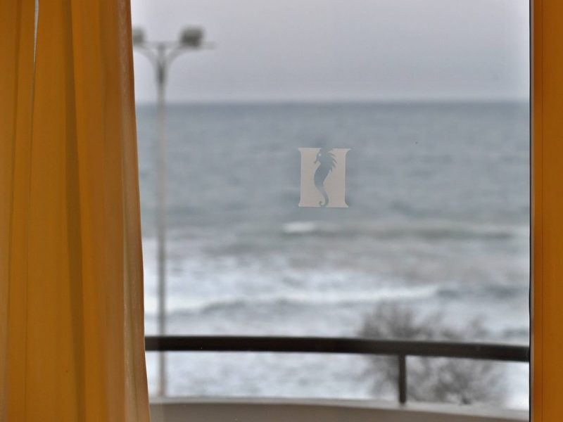 Mallorca: Urlauber schauen am Morgen aus dem Fenster – sie trauen ihren Augen kaum