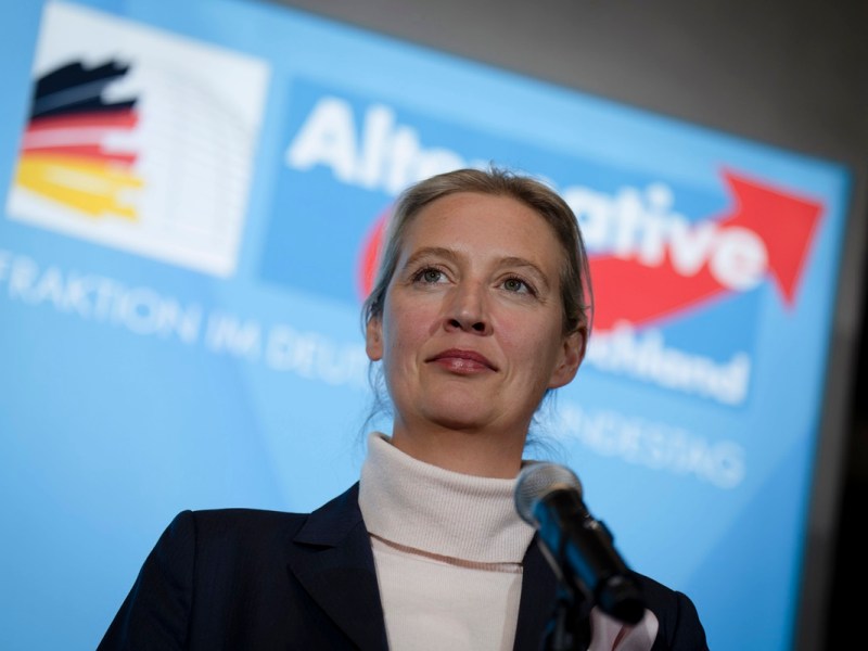 AfD: Umfrage-Schrecken! Es ist jetzt wirklich passiert