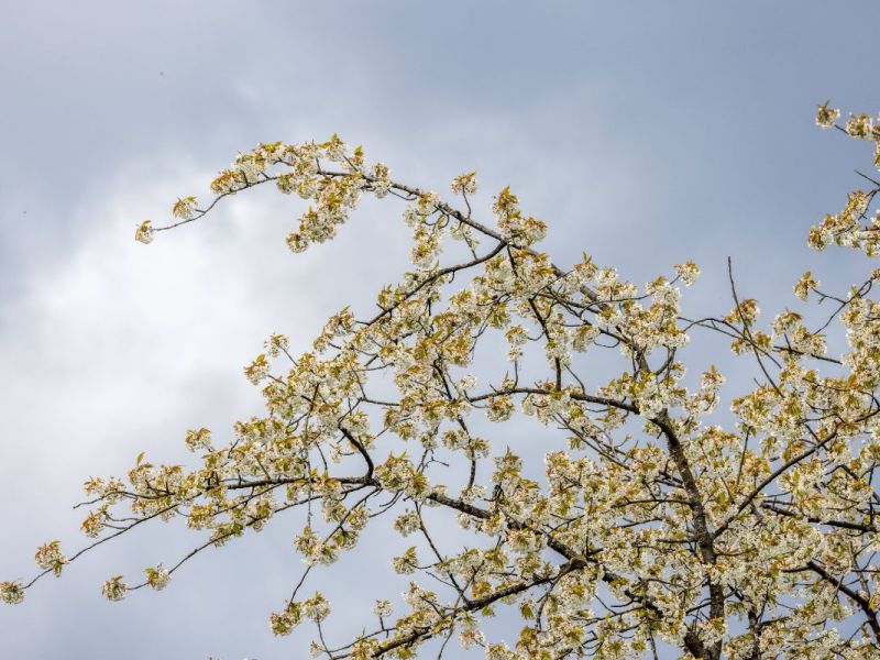 Wetter in NRW verheißt nichts Gutes – „Da kommt was runter“