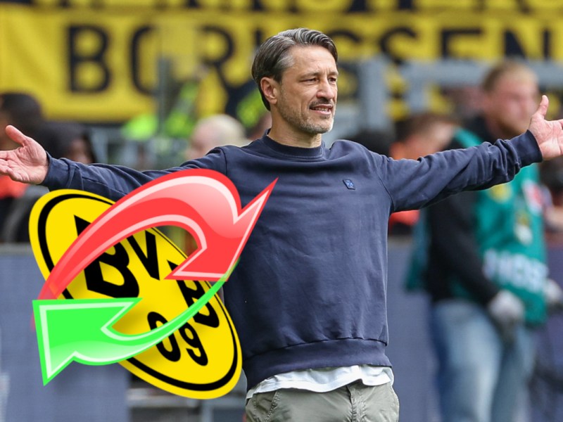 Borussia Dortmund in Schockstarre: Wunschtransfer ist plötzlich bei der Bundesliga-Konkurrenz