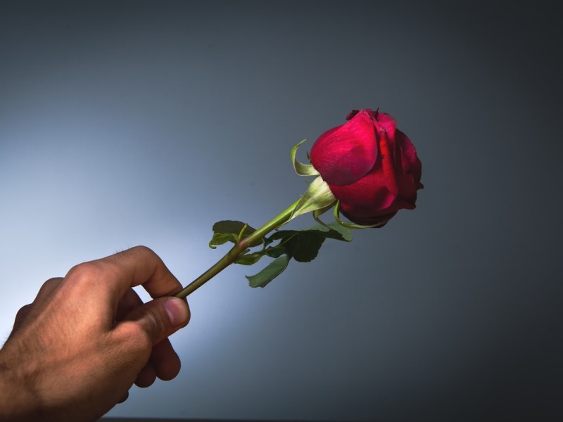 Datingshows als Influencerschmiede? Das wurde aus „Bachelor“, „Princess Charming“ & Co.