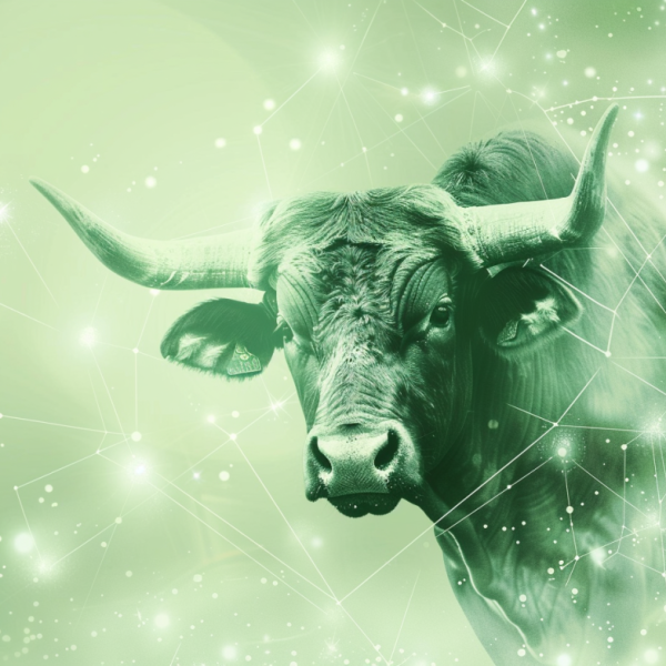 Monatshoroskop Stier August 2025: Was bringen dir die Sterne?
